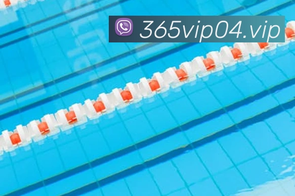 bet365APP 体育赛事宣传图